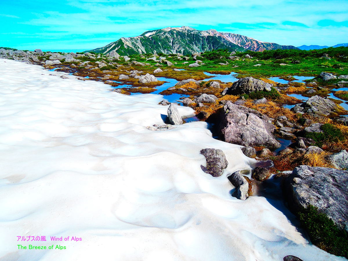 秘境雲ノ平の最奥地 奥スイス庭園